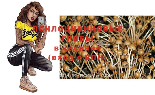 spice Белоозёрский