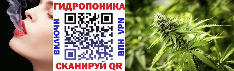 Каннабис Bruce Banner  купить   Тамбов 